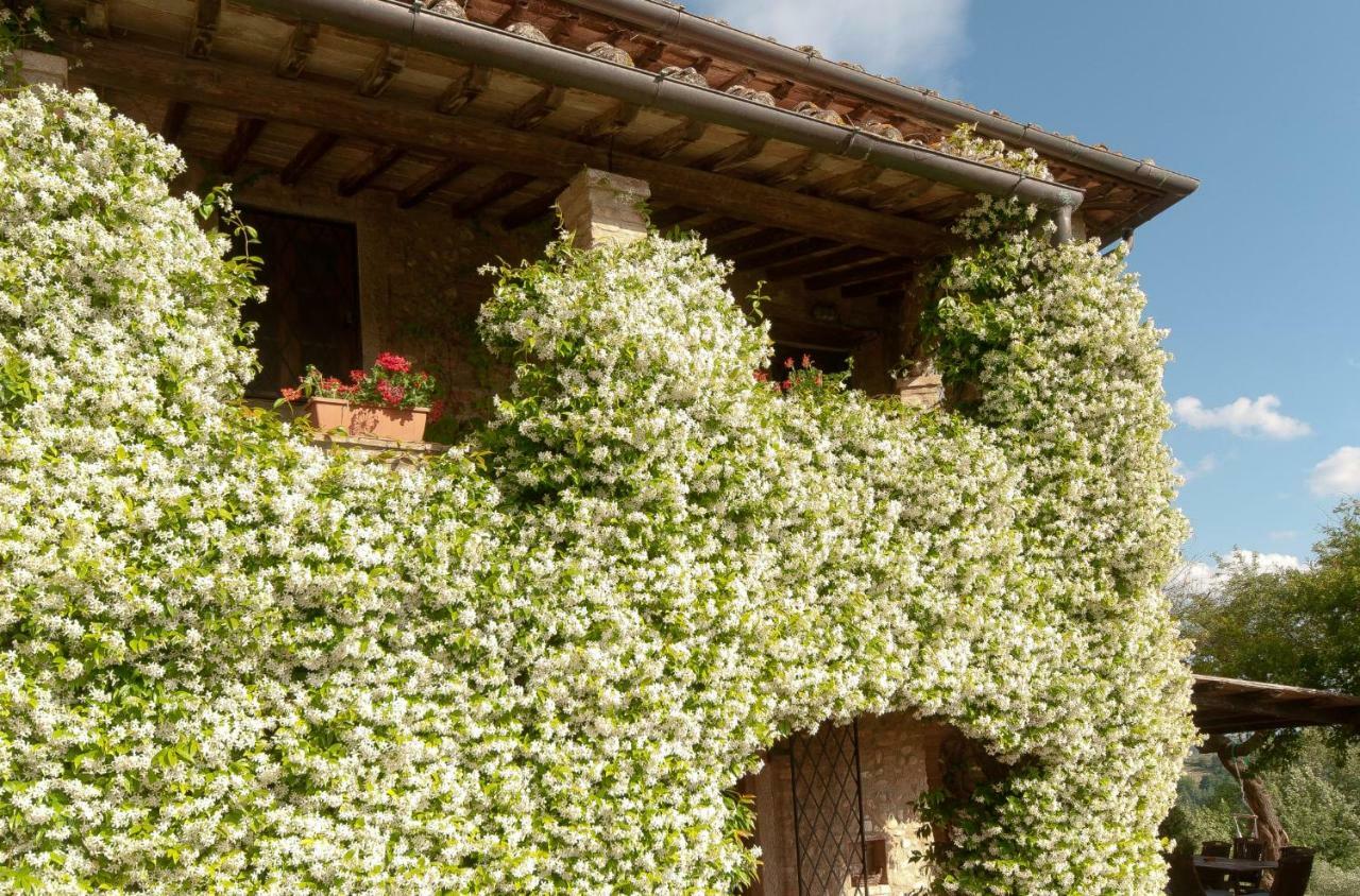 Novellina Certaldo Exterior foto